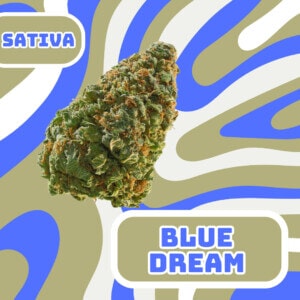 Blue Dream THCa Flower Sativa