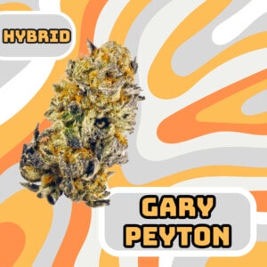 Gary Peyton THCa Flower Hybrid